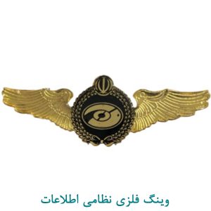وینگ نظامی رسته اطلاعات