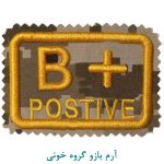 گروه خونی کامپیوتر خاکی ب مثبت