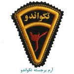 آرم برجسته تکواندو