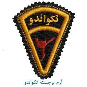 آرم برجسته تکواندو