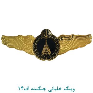 وینگ خلبانی جنگنده اف14