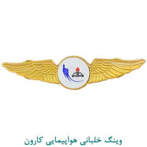 وینگ خلبانی هواپیمایی کارون