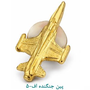 پین جنگنده اف 5